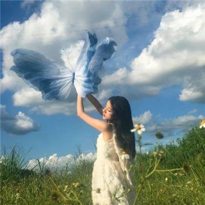 危鸡总动员